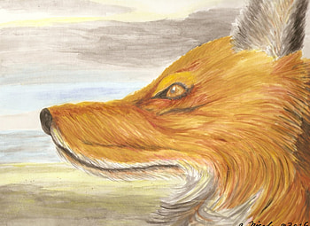 The Sea Breeze, Sand, Fur, Fox, Furry, Wild, Ocean, Cloudy, Beach, Overcast, Animal HD wallpaper