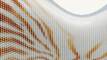 Marine Melodies Abstract Shell Symphony, abstract, artist, artwork, digital-art, deviantart HD wallpaper