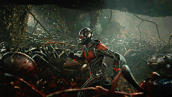 Comics Ant-Man HD wallpaper
