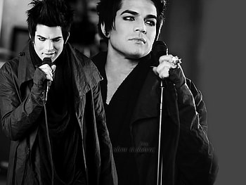 adam lambert : whatya want from me, ol, lol, l HD wallpaper