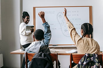 Students actively participating in a biology lesson with a teacher explaining at the whiteboard. HD wallpaper