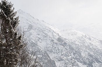 Winter, Nature, Trees, Snow, Mountain, Slope HD wallpaper