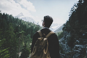 Back view of a man with a backpack hiking through a lush alpine forest in Tirol, Austria. HD wallpaper