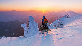 Snowboarder and his dog, man, snow, huskie, trees, sky, sun, sunrise HD wallpaper