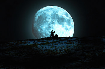Love We Need In Life, couple, love, moon, artist, artwork, digital-art, deviantart HD wallpaper