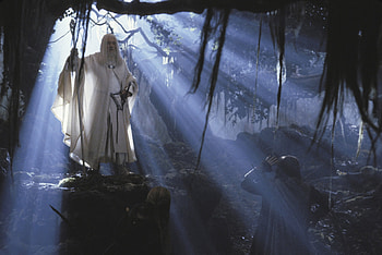 Gandalf the White, Fangorn HD wallpaper