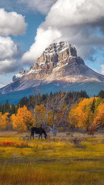 Nature, Mountain Nature HD phone wallpaper