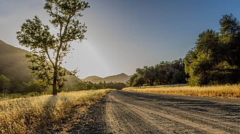 Nature, Trees, Mountains, Road, Sunlight HD wallpaper