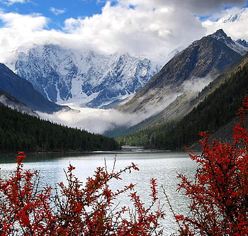 Majesty of the mountains, red plants, peaks, snow, clouds, canada, mountains, lake HD wallpaper