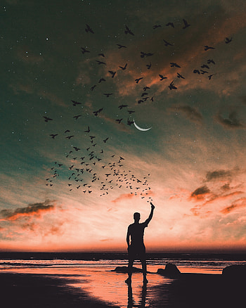 Nature, Birds, Sky, Sea, Horizon, Shore, Bank, Silhouette, Human, Person HD phone wallpaper