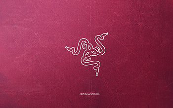 Razer logo, burgundy background, white chalk logo, Razer emblem, retro burgundy background, Razer, creative art, retro style HD wallpaper