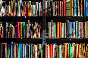 Vibrant collection of books on shelves for reading, research, and education. HD wallpaper