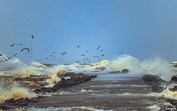Waves and Breakwater, sea, Latvia, waves, gulls HD wallpaper