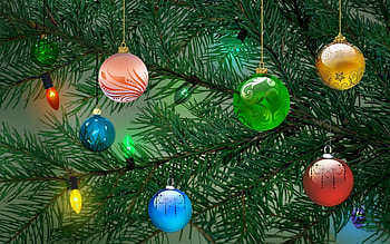 Plants, New Year, Fir-Trees HD wallpaper