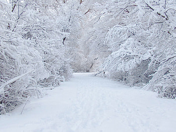 Landscape, Winter, Snow HD wallpaper