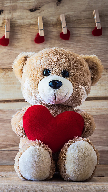 Beautiful Teddy Bear, Love HD phone wallpaper