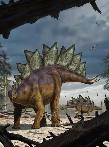 murals, Non-woven mural, Stegosaurus motif, Interior decoration HD phone wallpaper