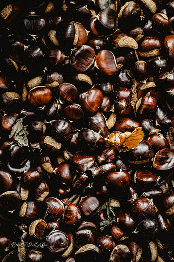 Food graphy, Autumn chestnuts, Rich brown tones, Seasonal inspiration HD phone wallpaper