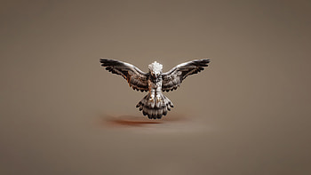 Owl 3d Graphic Art, owl, birds, 3d, artist, artwork, digital-art HD wallpaper