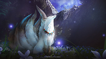 Black Desert 2023 Online, video game, Black Desert Online HD wallpaper
