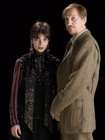 Nymphadora Tonks, Brave metmorphmagus, Harry Potter fan zone, Shapeshifter HD phone wallpaper