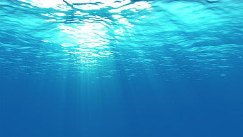 Awesome Underwater Scenes Collection: Underwater Scenes HD wallpaper