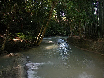 The Quiet Stream Below the Main Falls, trees, water, rock, stream HD wallpaper