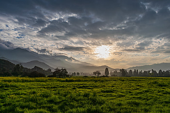 Nature, Trees, Grass, Sky, Hills HD wallpaper
