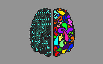 Creative Brain HD wallpaper
