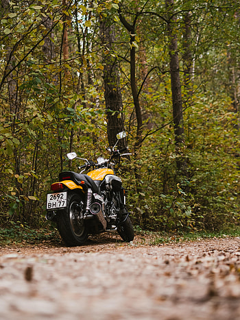 Motorcycles, Yamaha, Forest, Back View, Rear View, Motorcycle, Bike, Motor HD phone wallpaper