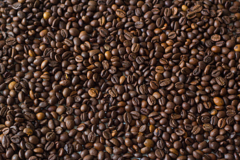 Food, Coffee, Brown, Coffee Beans HD wallpaper