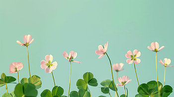 Charming Clover and Flowers, clover, flower HD wallpaper