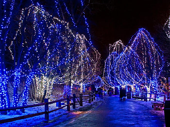 blue path, blue, graphy, lights, path, christmas, road, nice HD wallpaper