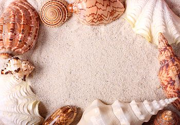 Sand, Shells, Miscellanea, Miscellaneous, Frame HD wallpaper