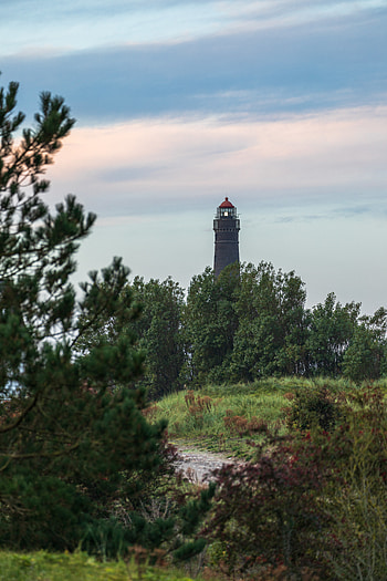 Nature, Trees, Bush, Building, Lighthouse HD phone wallpaper