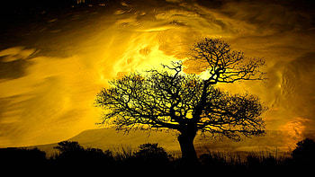 Sunset Silhouette, sky, mountains, tree, glow, landscape, clouds HD wallpaper
