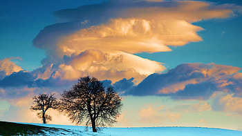 Wintertime, snow, clouds, landscape, fields, trees, sky, countryside HD wallpaper