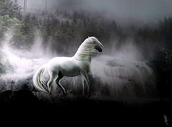 Spirit stallion, white, mountain cliffs, clouds, trees, stallipn, mists HD wallpaper