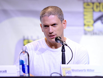 Wentworth Miller, Prison Break, Queer representation, Failures HD wallpaper