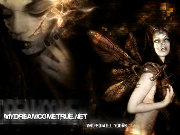 MDCT, angel HD wallpaper