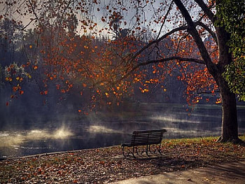 Hyde Park, hyde, england, park HD wallpaper