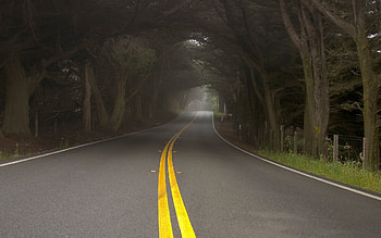 Landscape, Trees, Roads HD wallpaper