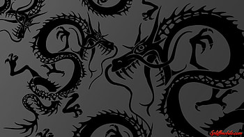 Dragon HD wallpaper