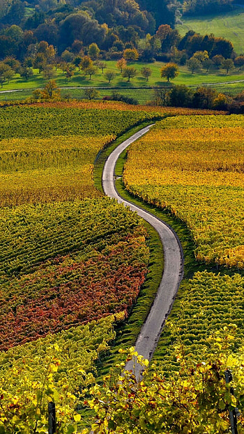 Autumn hill landscape, Oberschwarzach beauty, European travel HD phone wallpaper