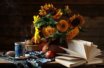 *** Sunflowers ***, nature, flowers, sunflowers, sun HD wallpaper