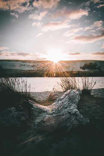 Nature, Sun, Horizon, Lake, Rays, Beams, Snag HD phone wallpaper