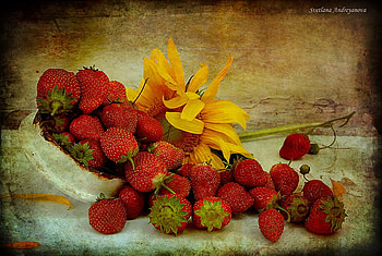 Sweet strawberries, strawberries, flower, red, fruit, sunflower HD wallpaper