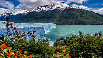 Argentina, Patagonia, Argentino Lake, Perito Moreno Glacier, , Glacier, Andes, Bush, Lake, Los Glaciares National Park, Mountain HD wallpaper