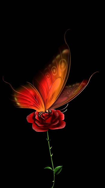 Butterfly on Red Rose, red rose, rose, artistic, butterfly HD phone wallpaper