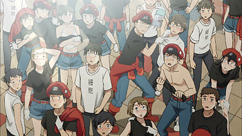 Cells at Work! Code Black, Who said you can't, Lewd a cell, Know your meme HD wallpaper